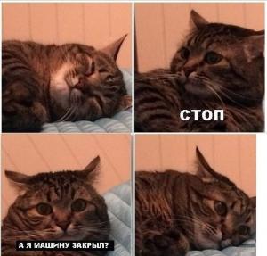 Автомобильные демотиваторы часть 373)