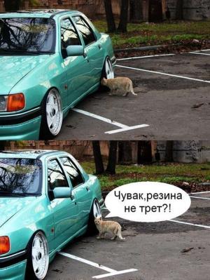 Автомобильные демотиваторы часть 373)