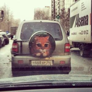 Автомобильная фотоподборка часть 374)