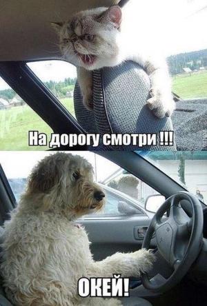 Автомобильные демотиваторы часть 375)