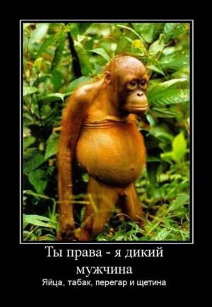 Автомобильные демотиваторы часть 376)