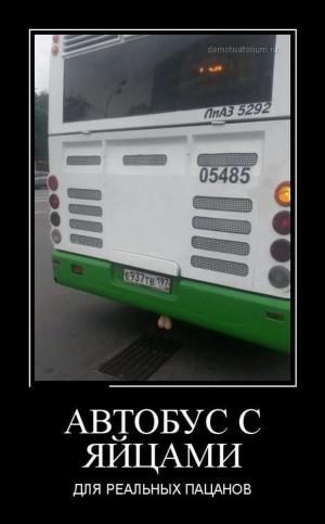 Автомобильные демотиваторы часть 381)