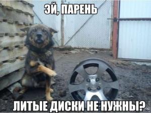 Автомобильные демотиваторы часть 381)