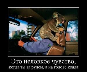 Автомобильные демотиваторы часть 382)