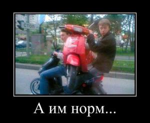 Автомобильные демотиваторы часть 382)