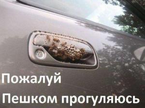 Автомобильные демотиваторы часть 383)