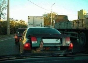 Автомобильная фотоподборка часть 384)