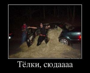 Автомобильные демотиваторы часть 384)