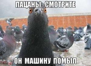 Автомобильные демотиваторы часть 386)