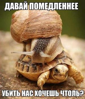 Автомобильные демотиваторы часть 387)