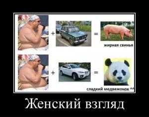 Автомобильные демотиваторы часть 388)