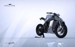 2015 Feline One Concept