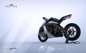 2015 Feline One Concept