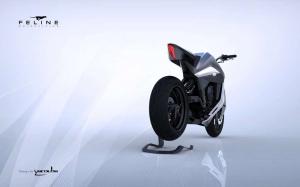 2015 Feline One Concept