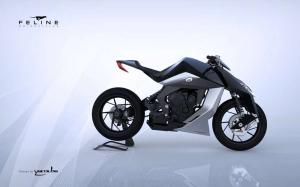 2015 Feline One Concept