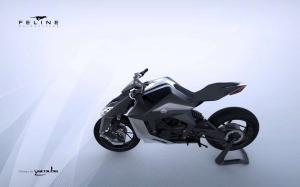 2015 Feline One Concept