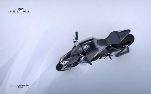 2015 Feline One Concept