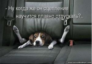 Автомобильные демотиваторы часть 390)