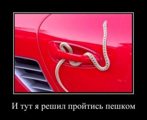 Автомобильные демотиваторы часть 392)