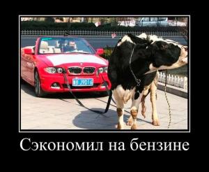 Автомобильные демотиваторы часть 392)