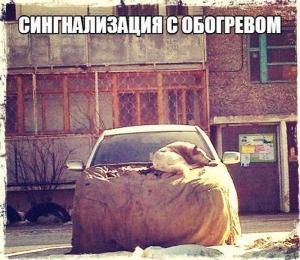 Автомобильные демотиваторы часть 393)