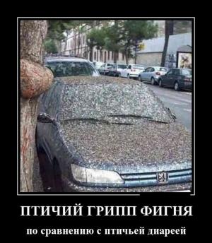 Автомобильные демотиваторы часть 393)