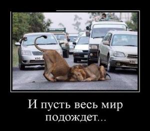 Автомобильные демотиваторы часть 394)