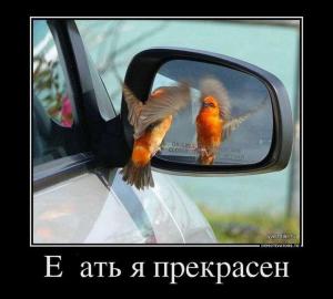 Автомобильные демотиваторы часть 394)