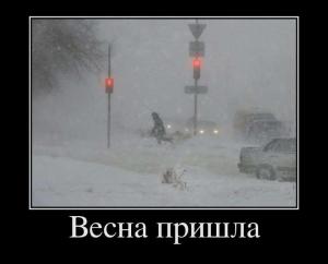 Автомобильные демотиваторы часть 395)