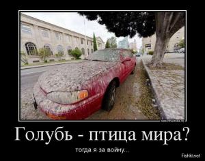 Автомобильные демотиваторы часть 398)