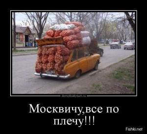 Автомобильные демотиваторы часть 398)