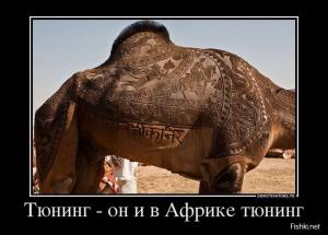 Автомобильные демотиваторы часть 398)