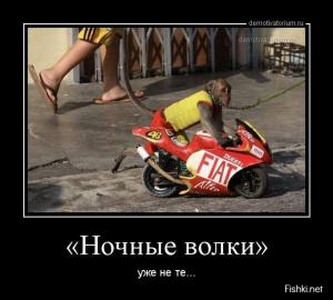 Автомобильные демотиваторы часть 398)