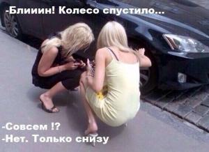 Автомобильные демотиваторы часть 399)