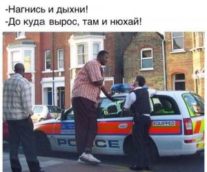 Автомобильные демотиваторы часть 399)