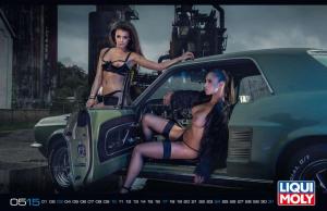 Эротический календарь от Liqui Moly 2015