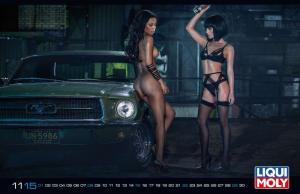 Эротический календарь от Liqui Moly 2015