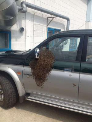 Автомобильная фотоподборка часть 400)