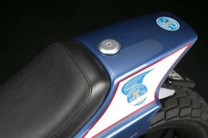 2015 Bonneville Performance Triumph