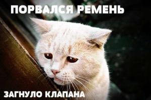Автомобильные демотиваторы часть 403)