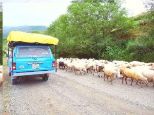 Тридцатилетнее путешествие на Toyota Land Cruiser