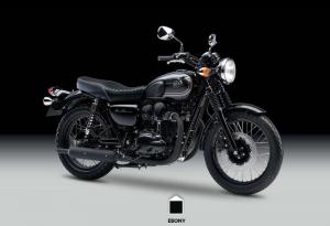 2015 Kawasaki W800 Black Edition