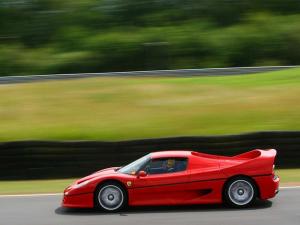 1995 Ferrari F50
