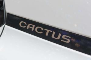 2014 Citroen C4 Cactus