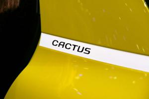 2014 Citroen C4 Cactus