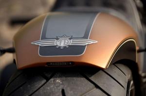 2015 Harley-Davidson Screamin Eagle by Thunderbike
