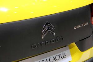 2014 Citroen C4 Cactus