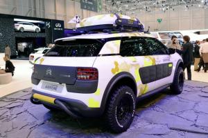 2014 Citroen C4 Cactus Adventure Concept