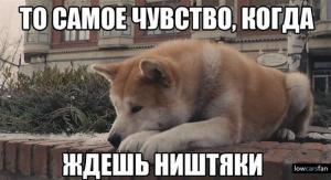 Автомобильные демотиваторы часть 409)