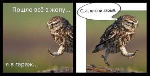 Автомобильные демотиваторы часть 410)
